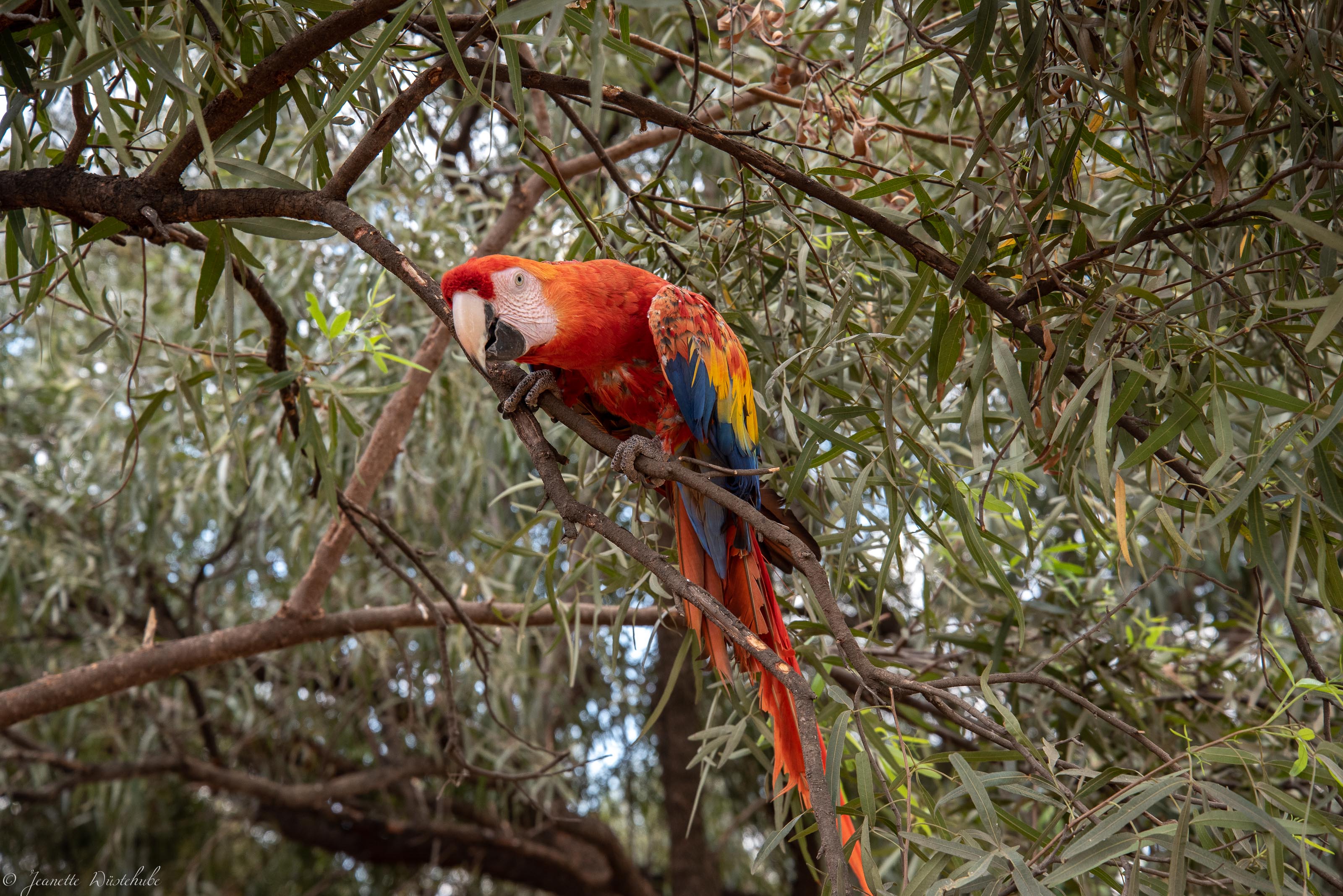 20181020_jwunbenannt_6042