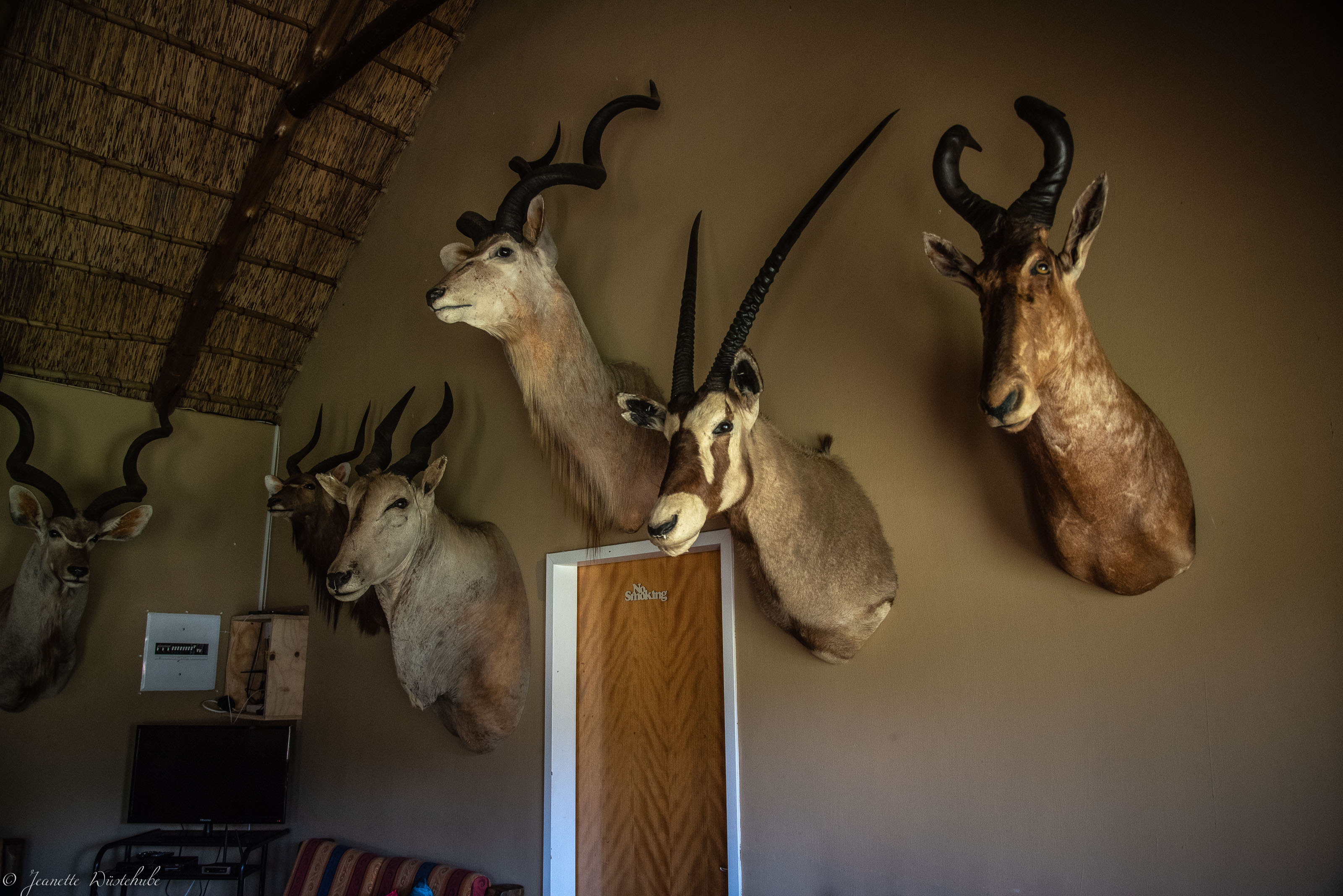 20181020_jwunbenannt_6046