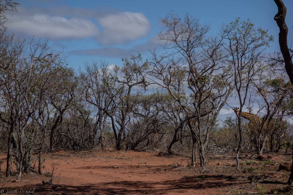 20181108_jwunbenannt_03926