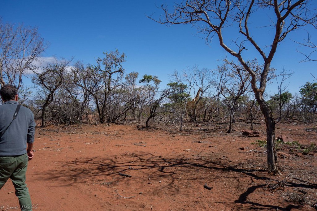 20181108_jwunbenannt_03929