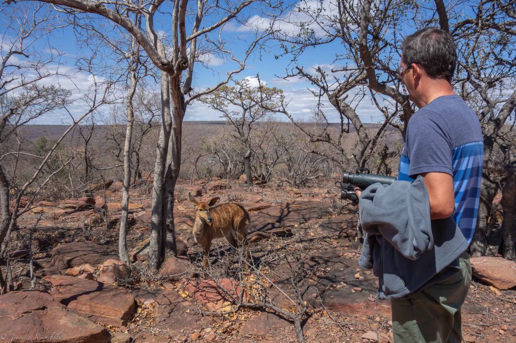 20181108_jwunbenannt_03935