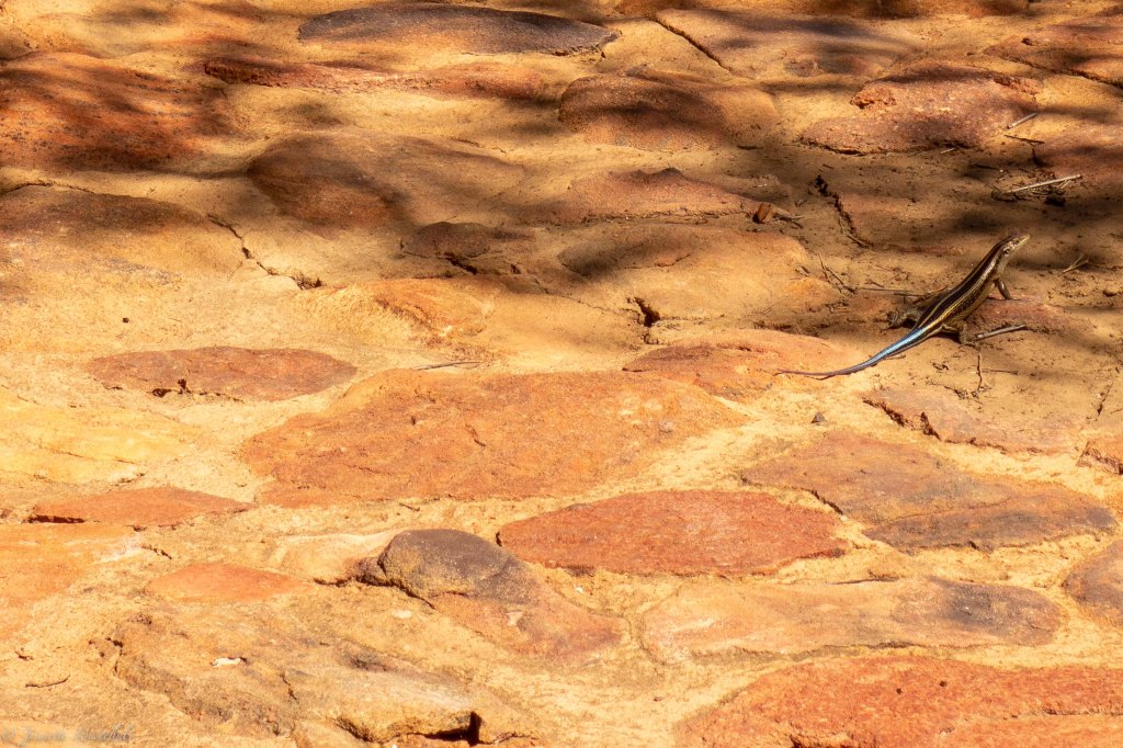 20181111_jwunbenannt_03976