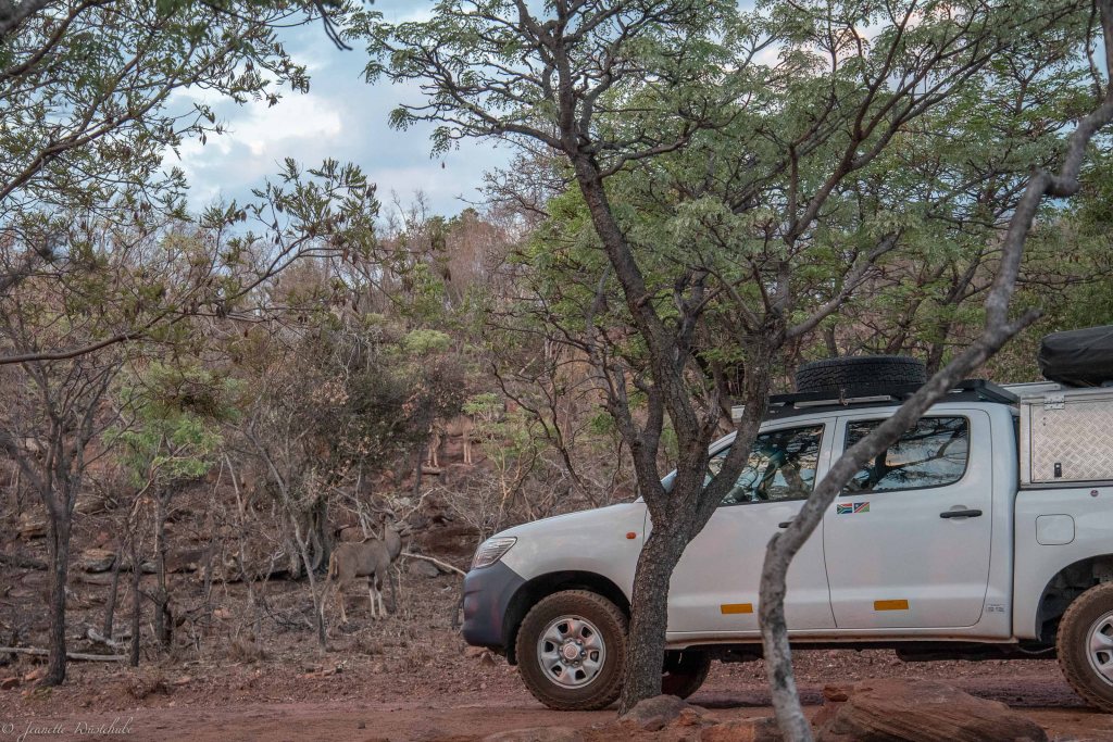 20181111_jwunbenannt_6734