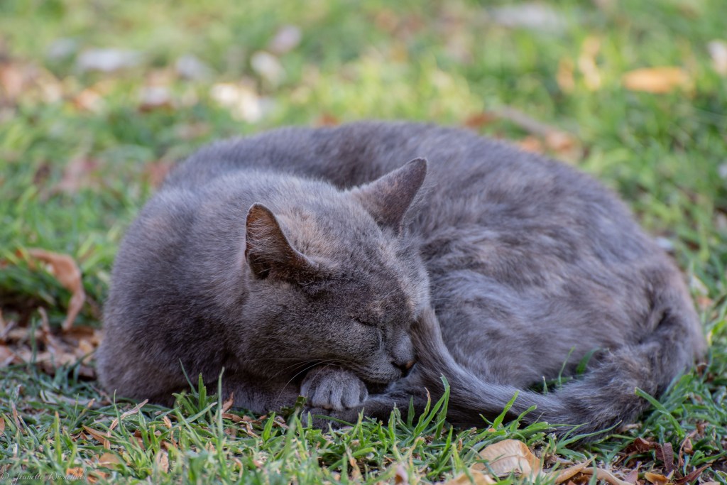 20181113_jwunbenannt_6793