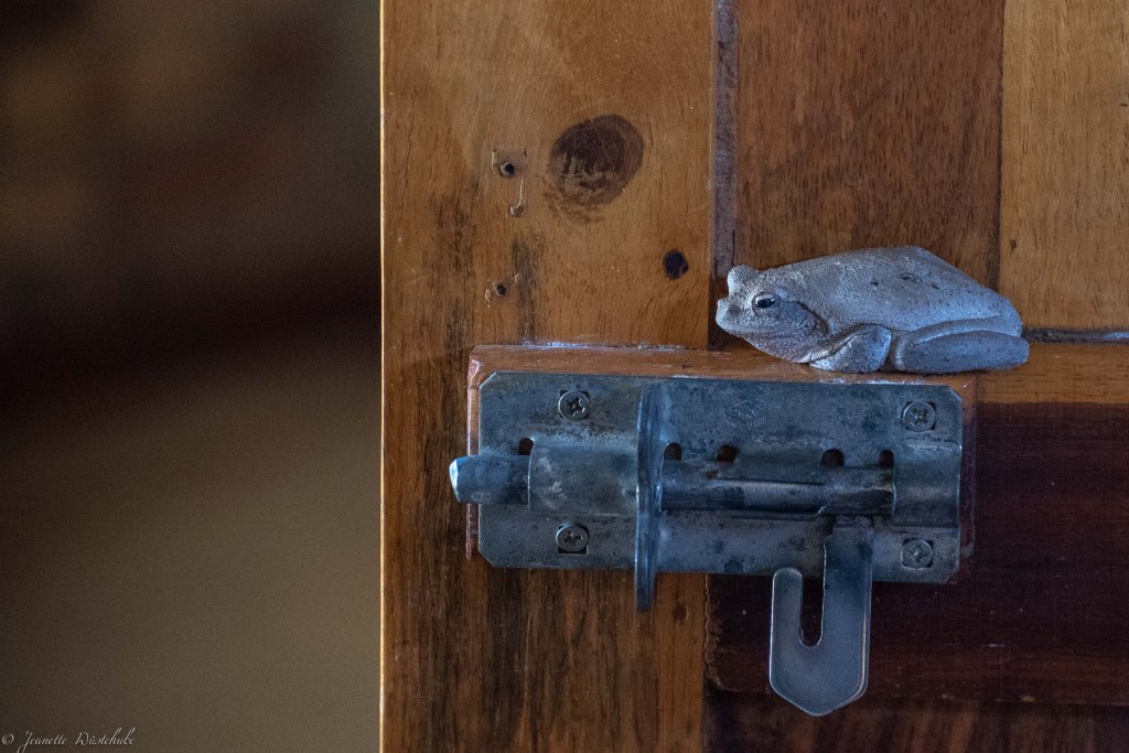 20181114_jwunbenannt_6801