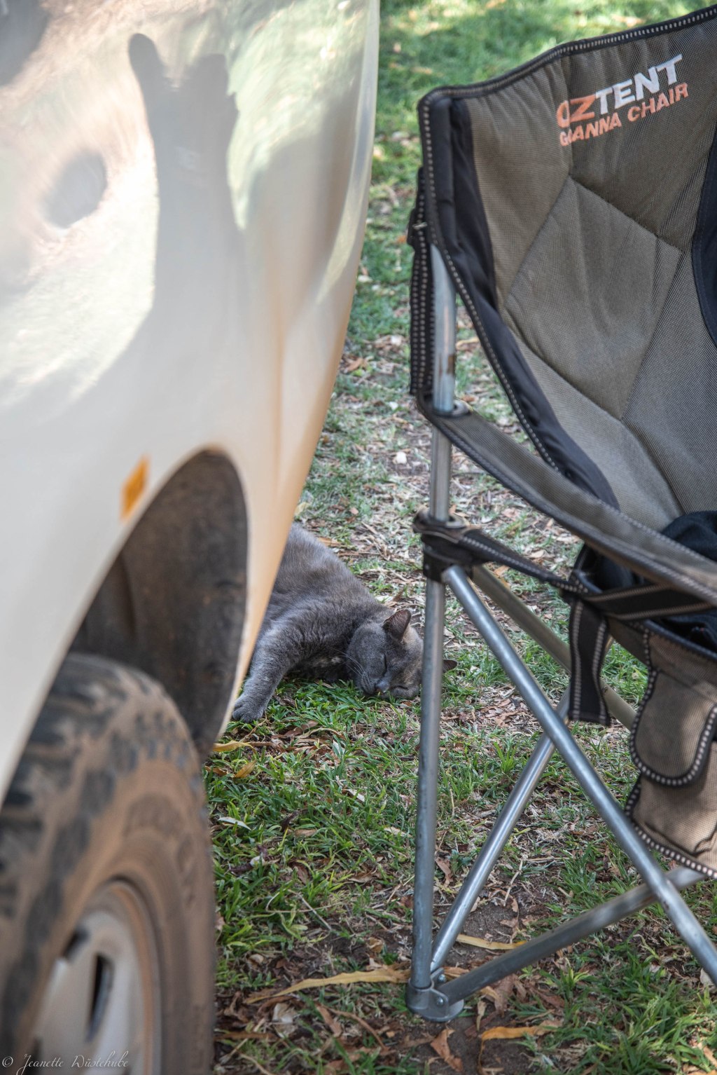 20181114_jwunbenannt_6807