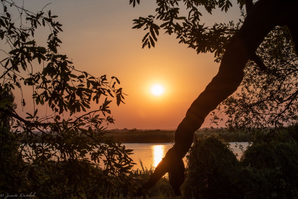 20181117_jwunbenannt_7235