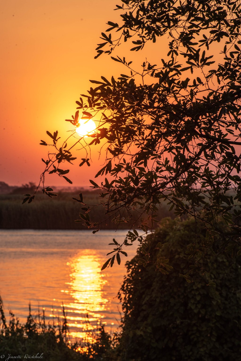 20181117_jwunbenannt_7246