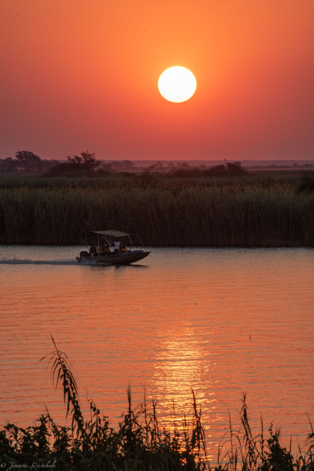 20181117_jwunbenannt_7250