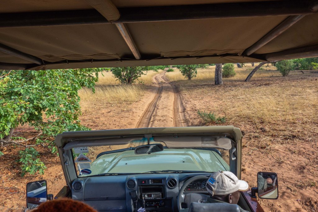 20181124_jwunbenannt_04284