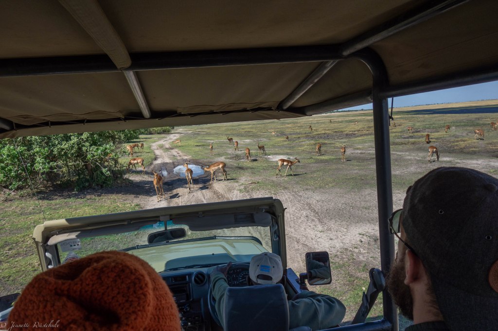 20181124_jwunbenannt_04289