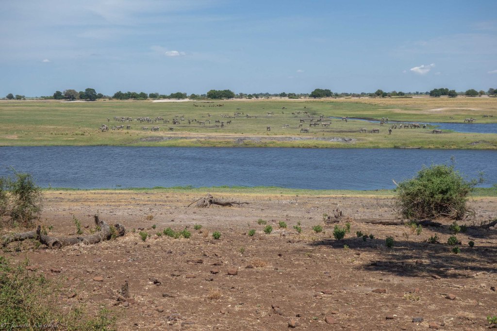 20181124_jwunbenannt_04303