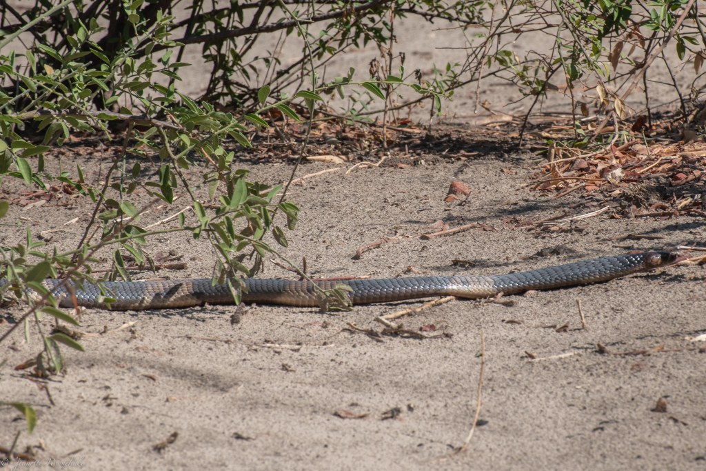 20181124_jwunbenannt_8531