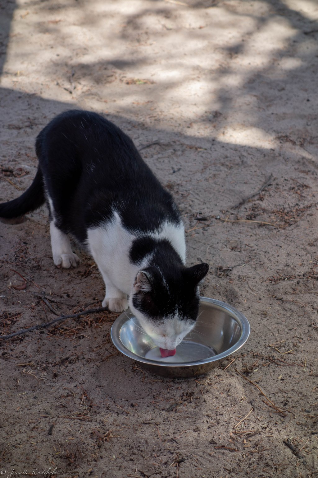 20181201_jwunbenannt_04481