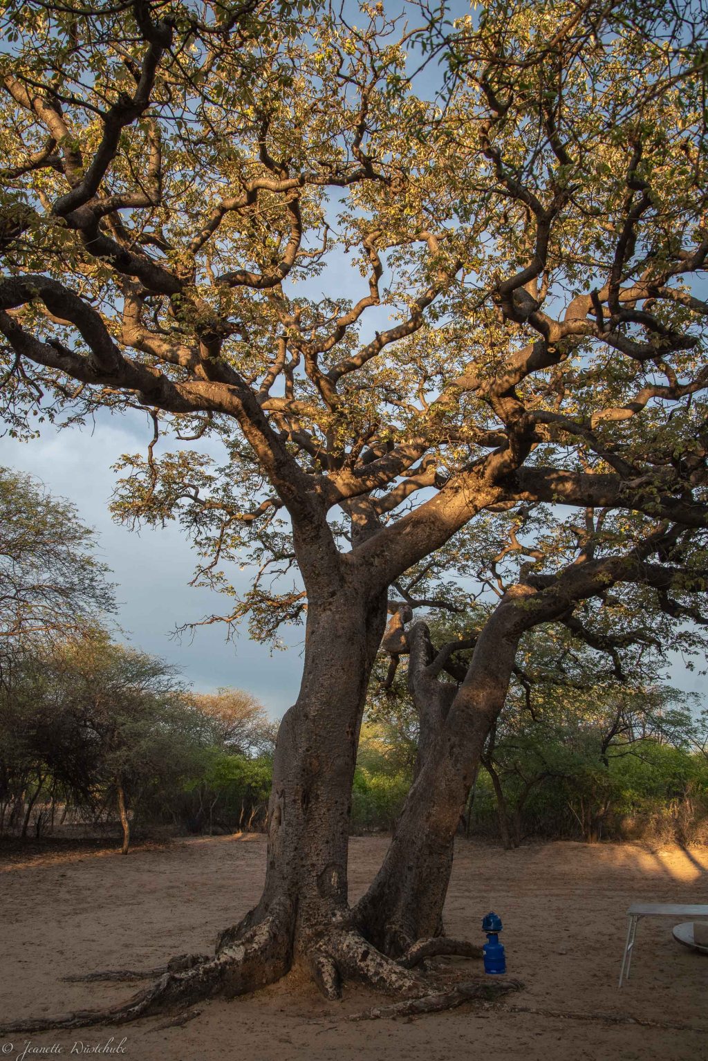 20181204_jwunbenannt_9427