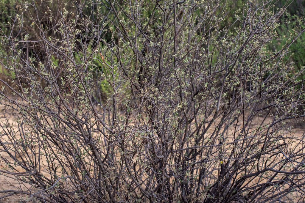 20181204_jwunbenannt_9431