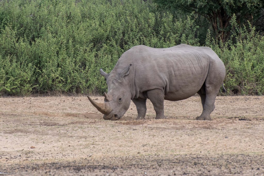 20181204_jwunbenannt_9436