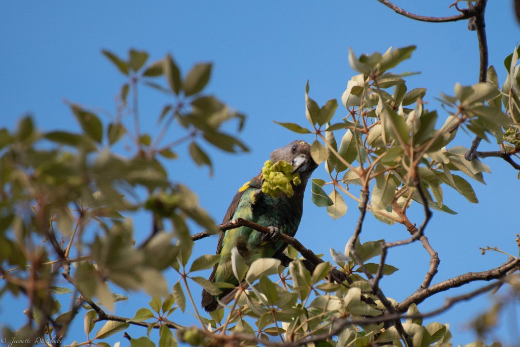 20181204_jwunbenannt_9751