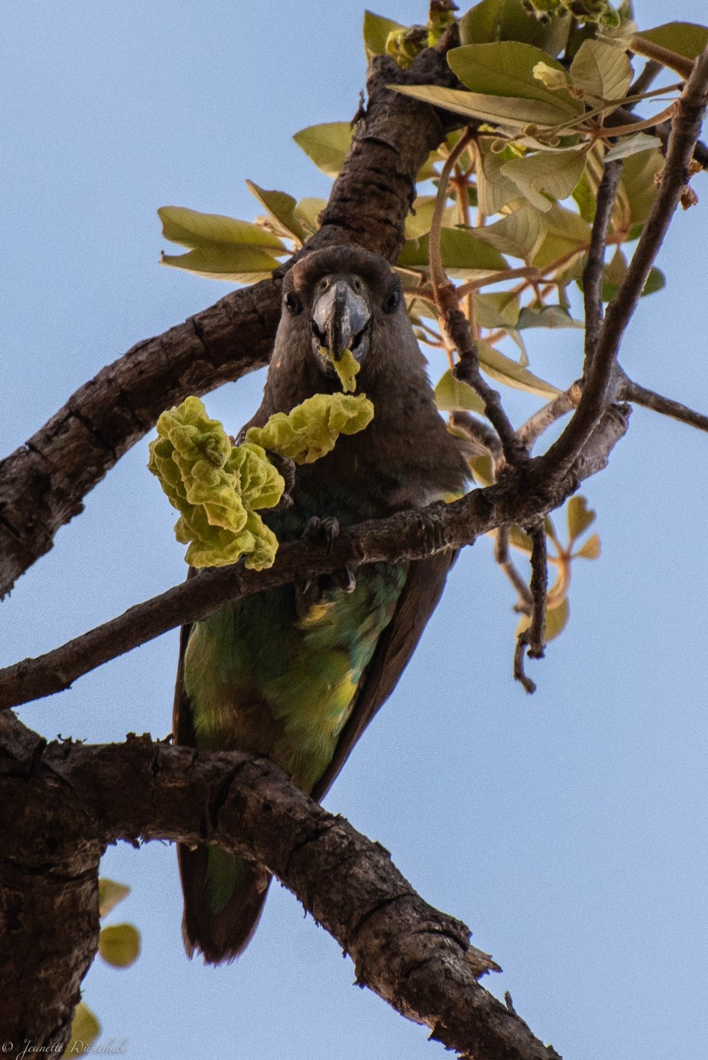 20181204_jwunbenannt_9773