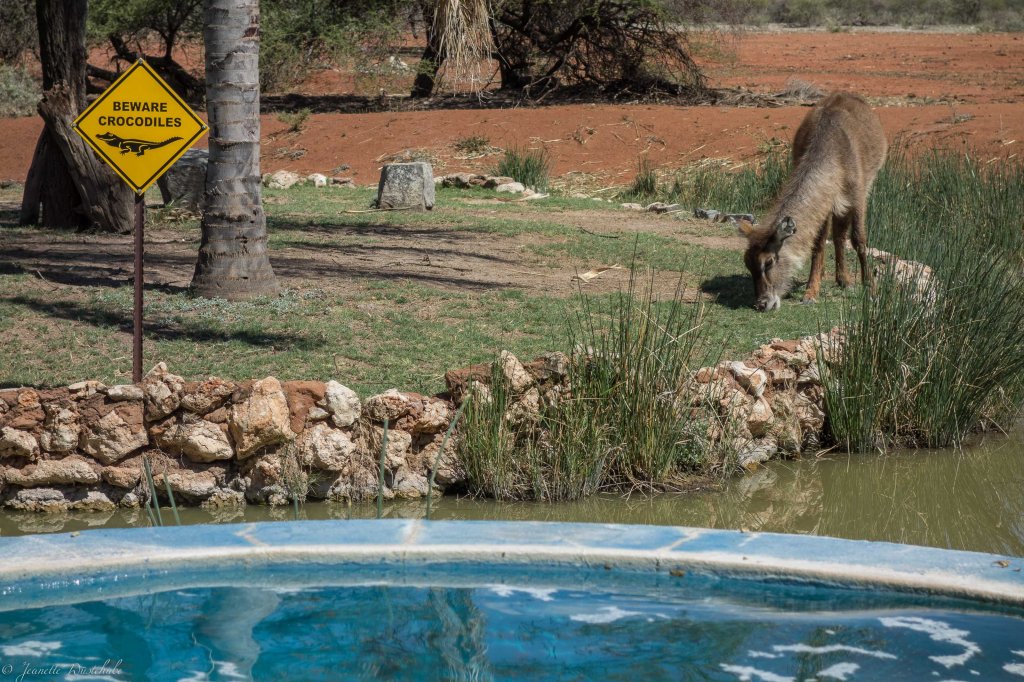 20181205_jwunbenannt_04533-2