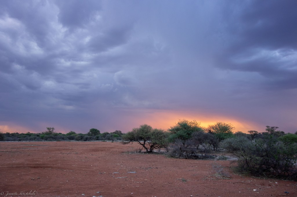 20181205_jwunbenannt_04539-2