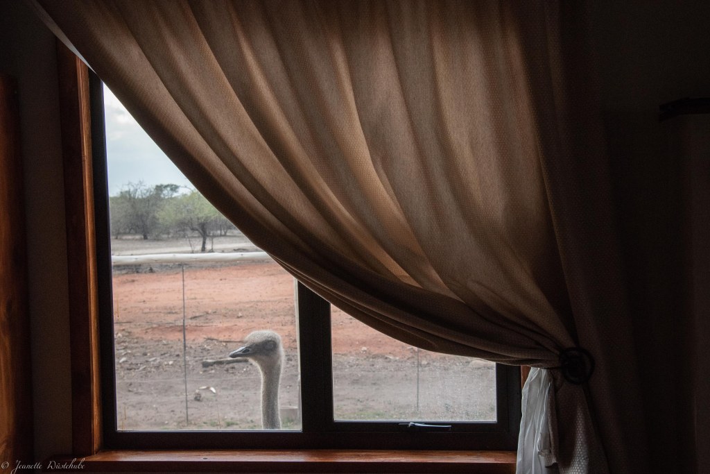 20181205_jwunbenannt_9821