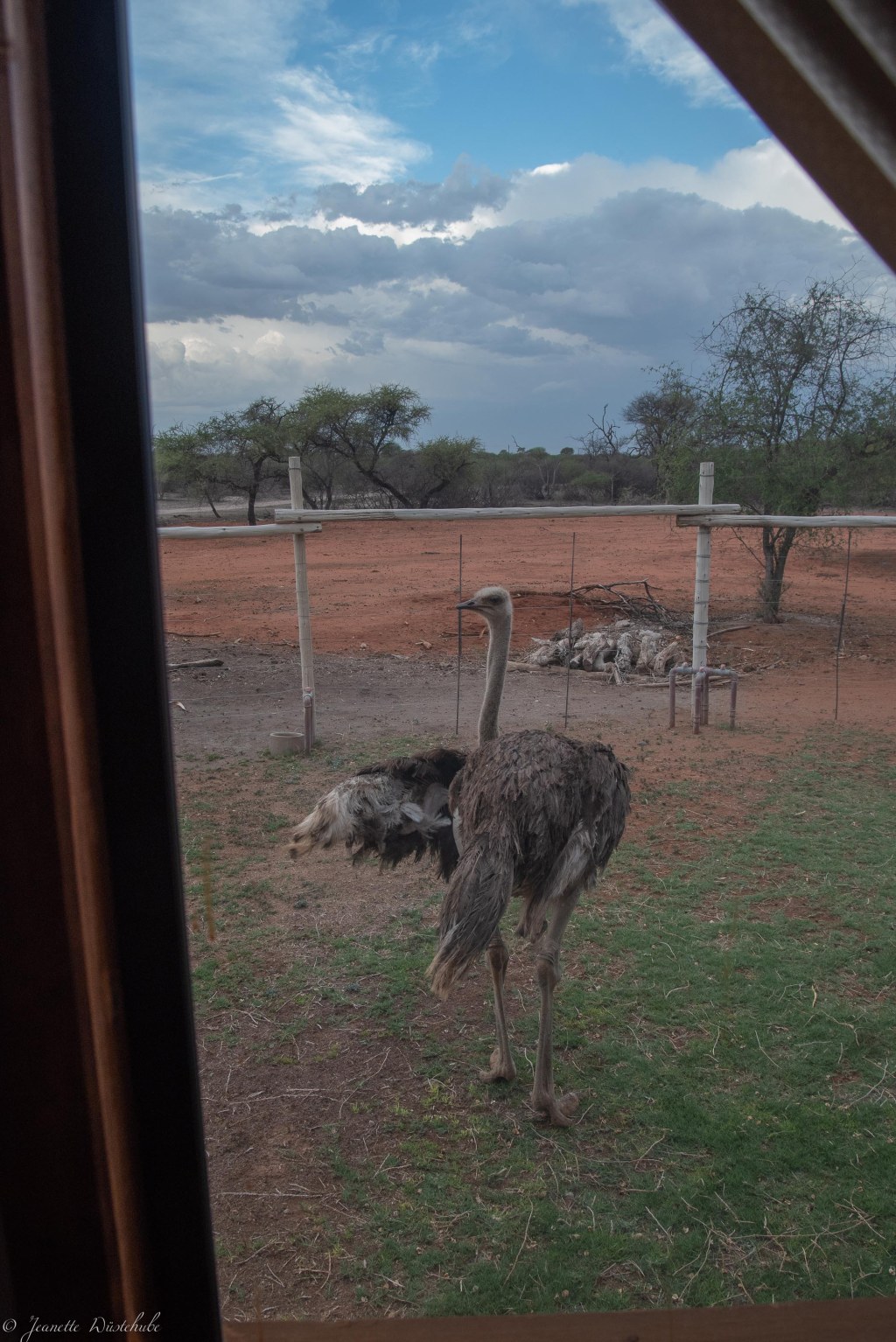 20181205_jwunbenannt_9825